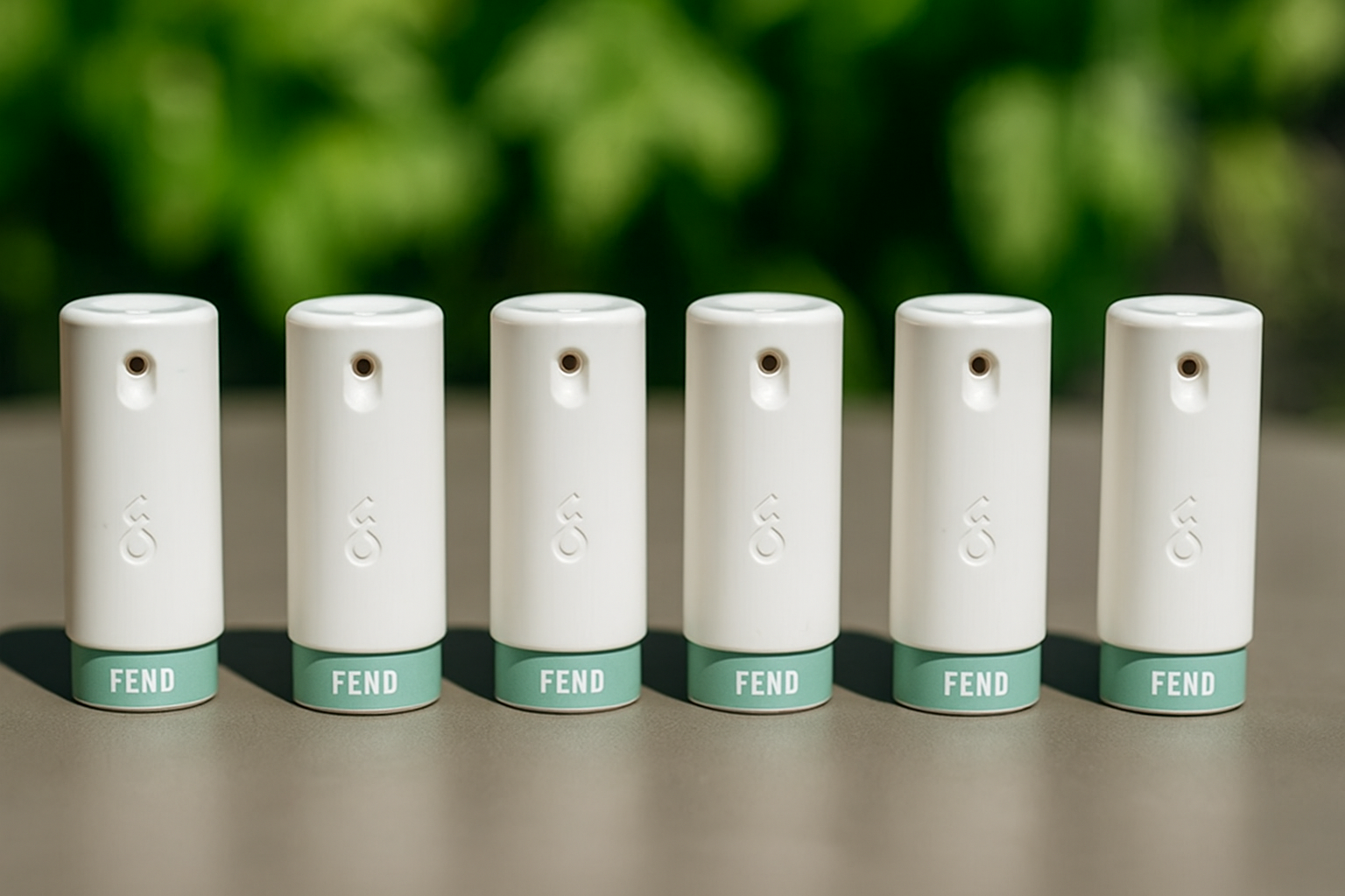 BFCM 6-Month Prepaid Subscription – Ships Monthly